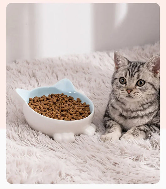 Comedero Elevado para Gatos Cerámica con Diseño Felino - Image 17