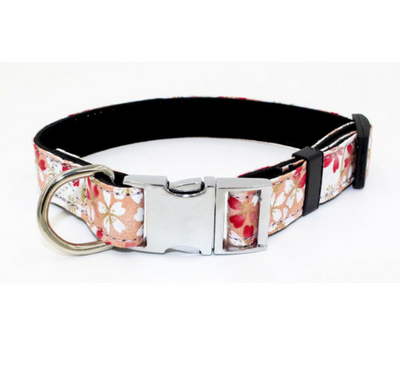Collar Ajustable con Cierre Rápido de Metal para Perros Pequeños y Medianos - Image 5