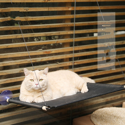 Hamaca de Cristal para Gatos - Cama Colgante con Ventosas Súper Adherentes - Image 9