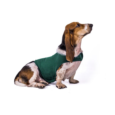 Chaleco Calmante para Mascotas - Ropa Terapéutica Antiansidad para Gatos y Perros - Image 12