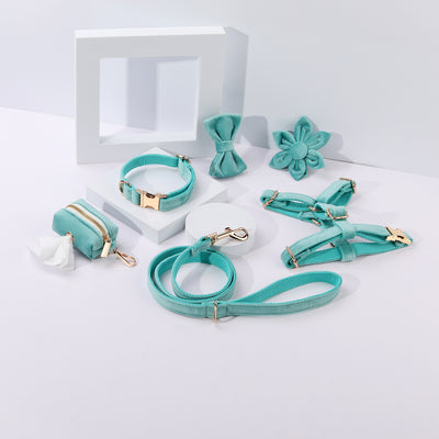 Conjunto de Collar y Correa de Terciopelo Suave para Mascotas - Image 25