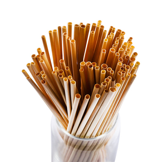 Pack 100 Pajitas Reutilizables de Fibra de Trigo Natural 20cm - Image 13