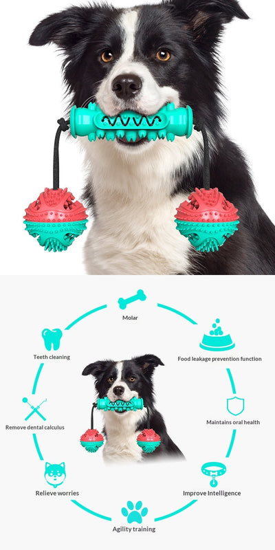 Juguete Masticable Dental para Perros - Limpieza de Dientes y Diversión - Image 15
