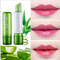 Labial Hidratante Colorido con Aloe Vera