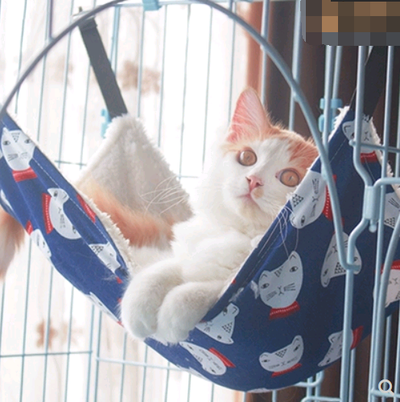 Hamaca Colgante para Gatos - Nido Térmico 4 Estaciones