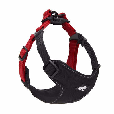 Correa y Collar para Pasear Perros - Control Seguro y Cómodo - Image 13
