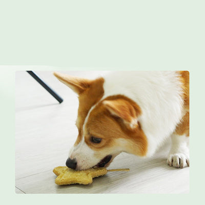 Juguete Dental Estrella para Perros - Limpieza de Dientes Resistente y Duradero - Image 7