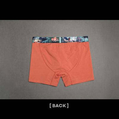 Bóxers de Algodón Multicolor con Estampado Infantil para Hombre - Image 14
