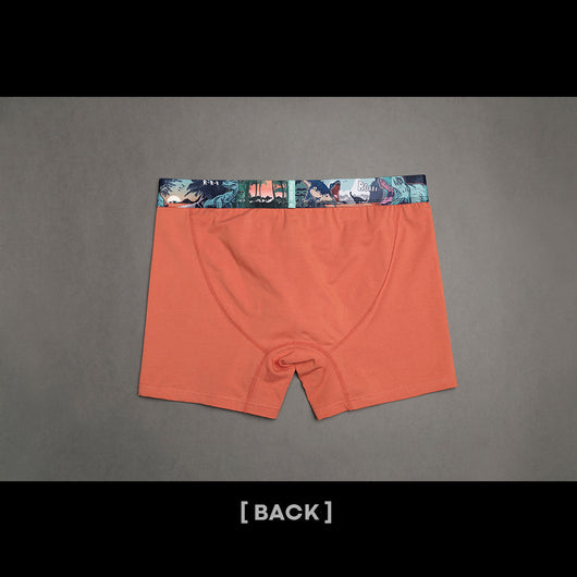 Bóxers de Algodón Multicolor con Estampado Infantil para Hombre - Image 14