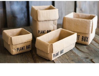 Maceta Creativa de Papel Cemento para Plantas de Interior y Balcón - Image 13