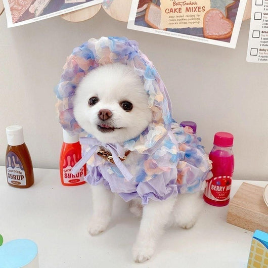 Falda de Malla para Bichón Frisé - Diseño Teddy - Image 16