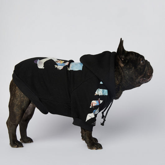 Ropa de Moda para Schnauzers - Colecciones Exclusivas - Image 4