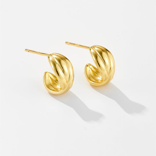 Aretes Coreanos Diseño Nicho Anillo Irregular