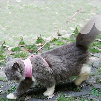 Arnés Antideslizante para Gatos - Image 3