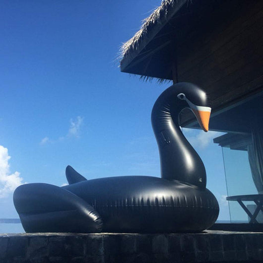 Flotador Cisne Negro - Image 5
