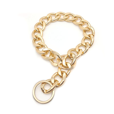 Collar Metálico Elegante y Dominante para Mascotas - Image 9
