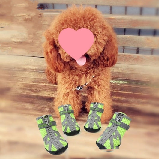 Botines Protectores para Perros: Impermeables, Antideslizantes y Transpirables