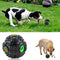 Juguete Interactivo de Entrenamiento para Perros con Dispensador de Premios y Sonido