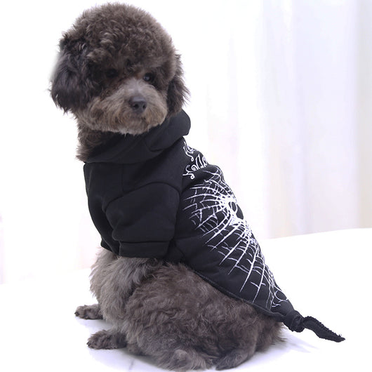 Ropa de Mascota Temática Halloween - Gato Negro, Araña y Calabaza - Image 16
