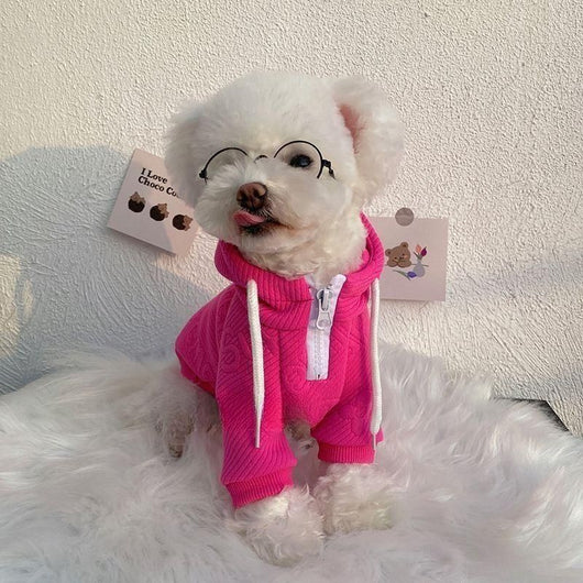 Suéter Elegante para Mascotas - Diseño Celebridad Internet - Image 5