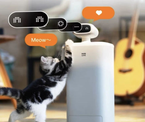 Comedero Automático para Gatos con Cámara 1080P, Control de Porciones y Visión Nocturna - Image 9