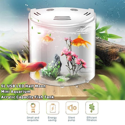 Acuario Ecológico de Acrílico Transparente - Image 4