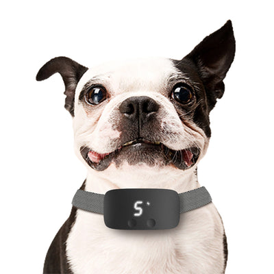Entrenador de Comportamiento Canino por Tacto - Image 7