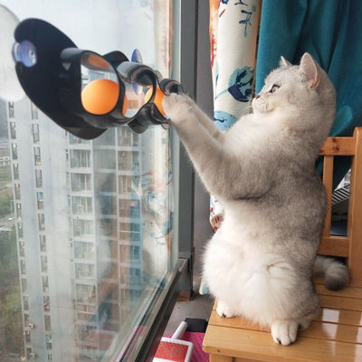 Juguete Interactivo de Pista para Gatos - Bola Rodante de Entretenimiento - Image 2