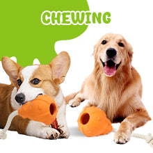 Juguete Rellenable para Perros con Dispensador de Premios - Image 17