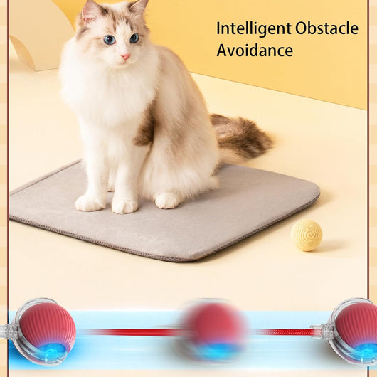 Pelota Inteligente Automática para Perros y Gatos - Juguete Interactivo 360° - Image 6