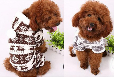 Ropa para Perros de Cuatro Patas - Diseño Elegante Ante - Image 10