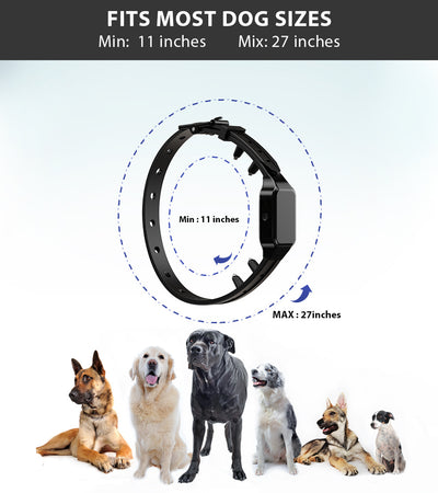 Collar de Entrenamiento Electrónico para Perros con Control Remoto - Image 14