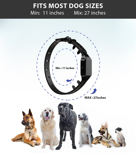 Collar de Entrenamiento Electrónico para Perros con Control Remoto - Image 14