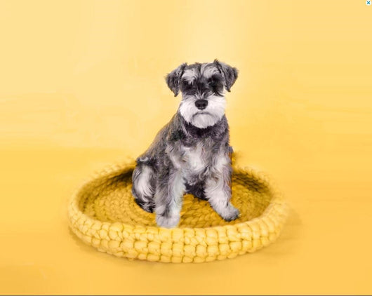 Nido Tejido para Mascotas en Lana Gruesa - Image 11