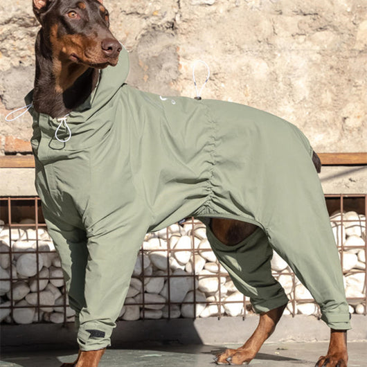 Traje de Montaña Táctico para Perros Shiba Inu Medianos y Grandes