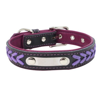 Collar para Perro de Acero Inoxidable con Grabado Láser - Image 13
