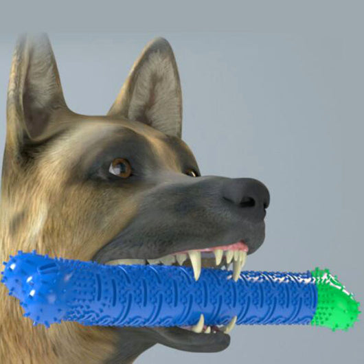 Limpiador Dental Masticable para Perros - Juguete Cepillo de Dientes Azul y Verde - Image 8