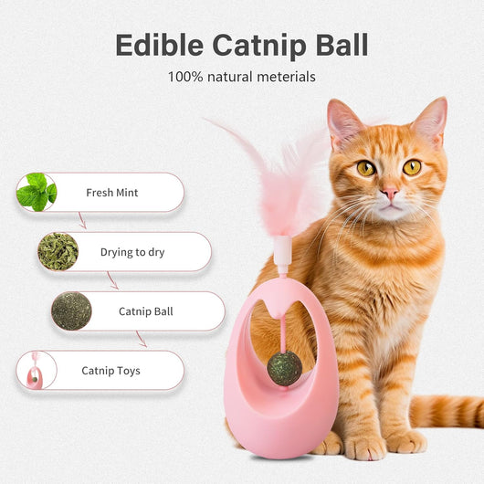 Juguete Interactivo para Gatos con Hierba Gatera y Pelotas Comestibles - Image 11