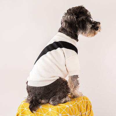 Ropa para Perros Corgi Poodle - Abrigos y Suéteres Cómodos - Image 19