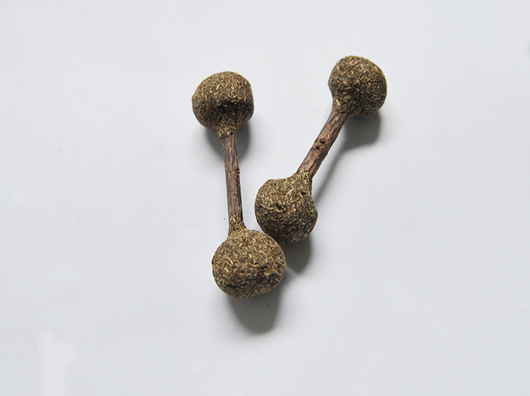 Three dumbbell-shaped catnip and silvervine chew toys with natural wood sticks on a light blue plate. - Image 10