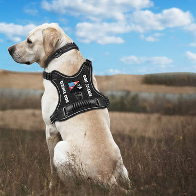 Arnés Reflectante Cómodo con Absorción de Impactos y Visión Nocturna para Perros