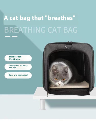 Bolsa Transportadora Premium para Mascotas - Gran Capacidad y Portabilidad - Image 7