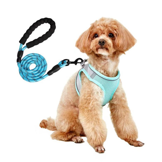 Small light brown poodle wearing an orange mesh dog vest harness with reflective trim and a retractable leash. - Image 13