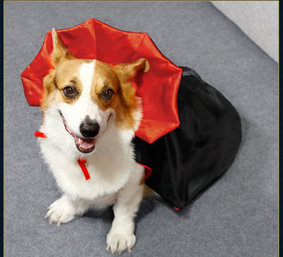 Capa de Halloween para Gatos - Disfraz Festivo Elegante - Image 23