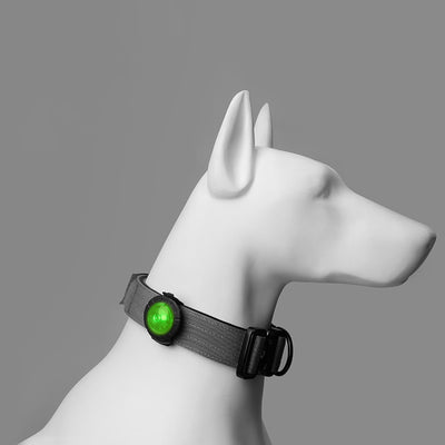 Luz LED Segura para Paseos Nocturnos de Mascotas - Collar Luminoso Antiextravío - Image 7