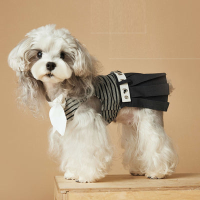 Vestido Rayado Primavera y Verano para Perros - Image 6