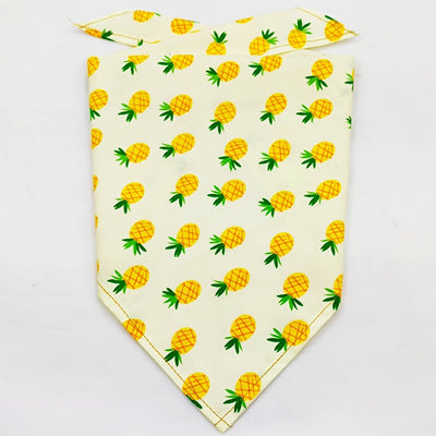 Pañuelo Bandana Absorbente para Mascotas con Diseño Frutal - Image 54