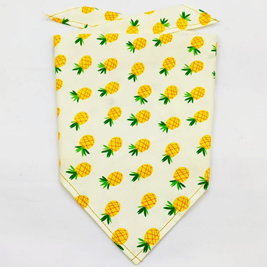Pañuelo Bandana Absorbente para Mascotas con Diseño Frutal - Image 54