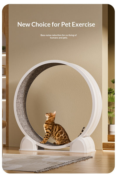 Caminadora Inteligente para Gatos con Pantalla Interactiva - Image 21