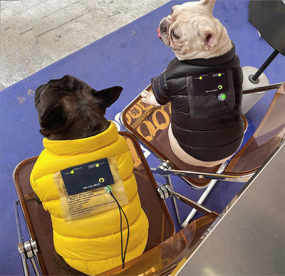 Abrigo Cálido para Perros Pequeños y Medianos - Diseño Adorable Corgi y Bichón - Image 11